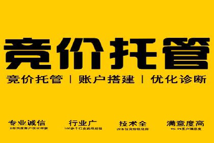 百度推广平台操作技巧：案例分享，提升广告转化